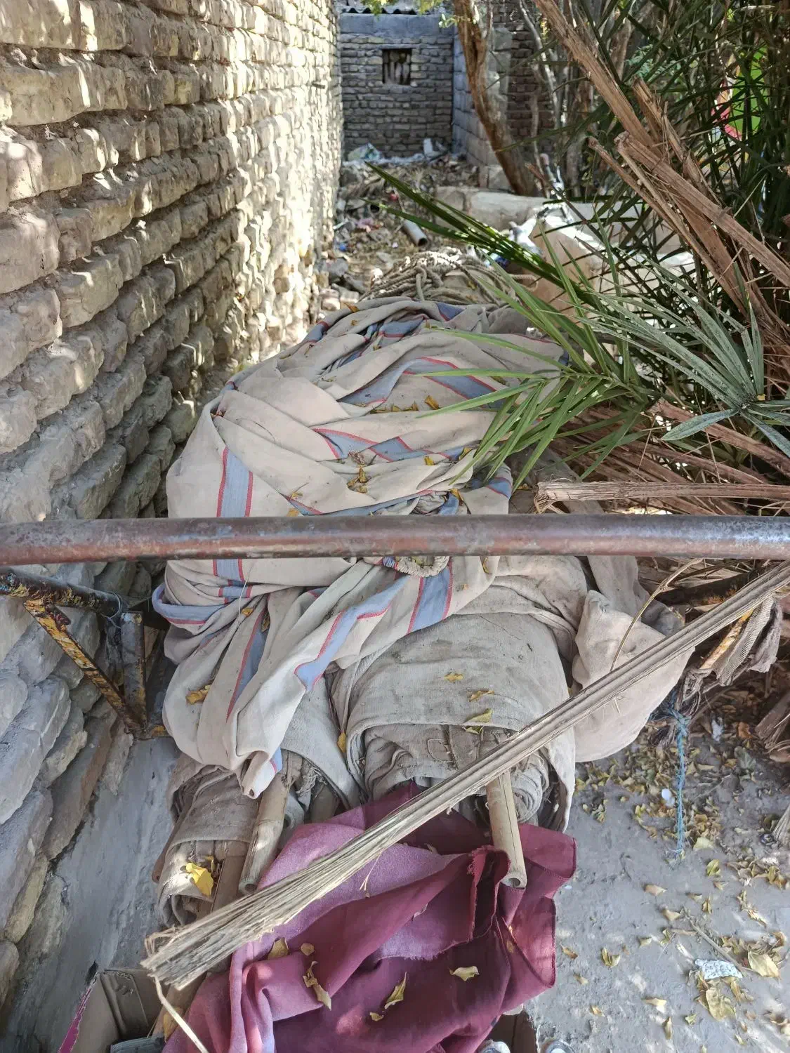 چادر عشایر ی|کوهنوردی و کمپینگ|زرند, |دیوار