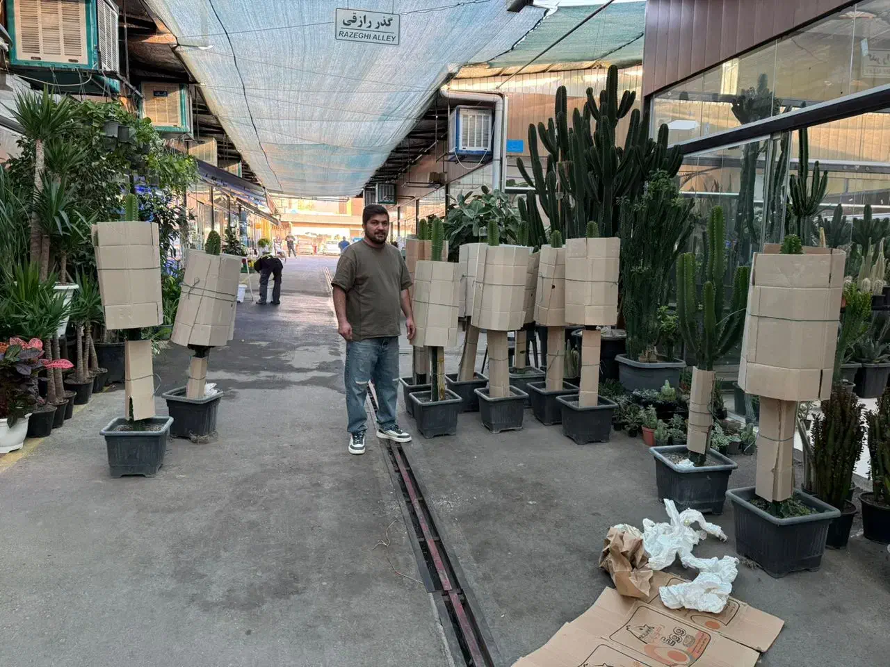 فروش کاکتوس افوربیا،ساکولنت،گلدان،کود|گل و گیاه طبیعی|تهران, شهرک شهید باقری|دیوار