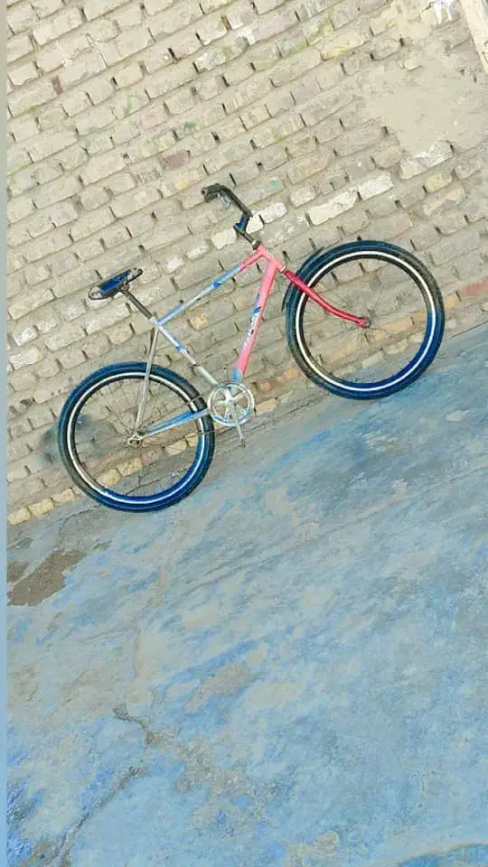 دوچرخه 26|دوچرخه، اسکیت، اسکوتر|زهک, |دیوار