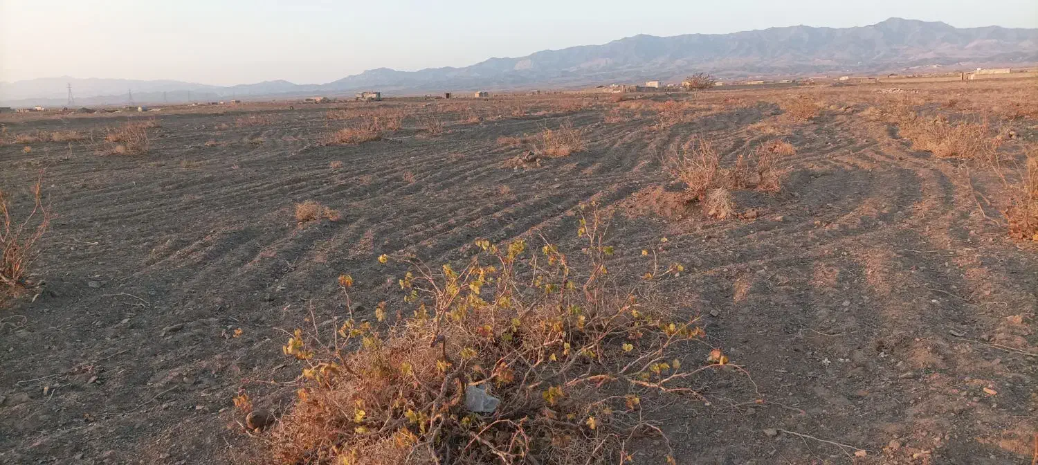 زمین|فروش زمین و ملک کلنگی|سبزوار, کراب|دیوار