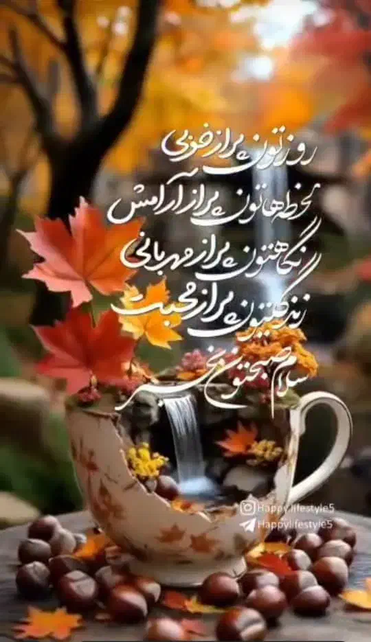 خدمتکار منزل با جوای خواب|خدمات نظافت|اصفهان, کوی امیریه|دیوار