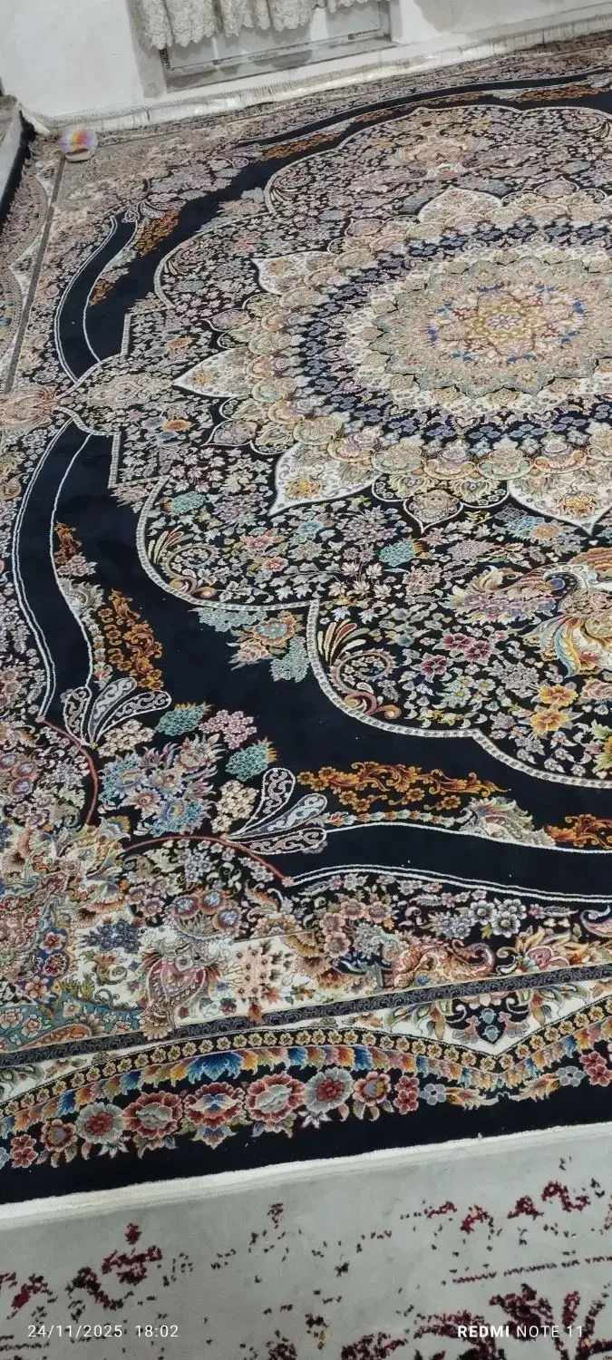 فرش نگین مشهد|فرش|بندرعباس, |دیوار