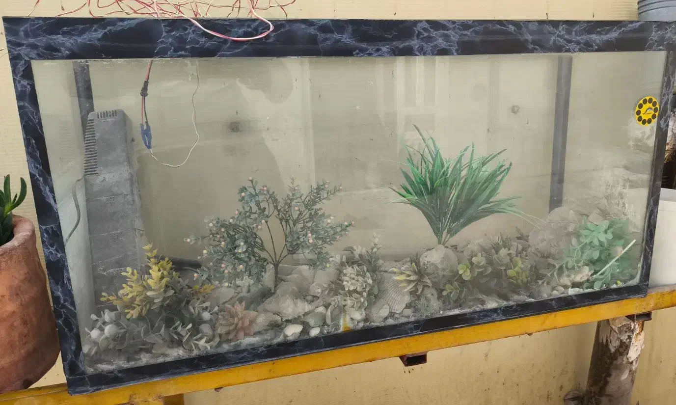 آکواریوم|ماهی|مشهد, شهید رضوی|دیوار