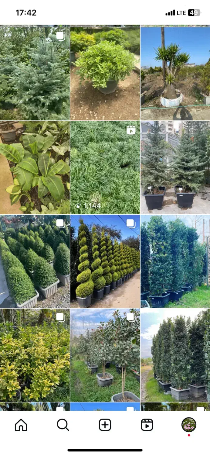 طراحی و اجرای فضای سبز ( انواع درختان تزئینی )|خدمات باغبانی و درختکاری|تهران, پاسداران|دیوار