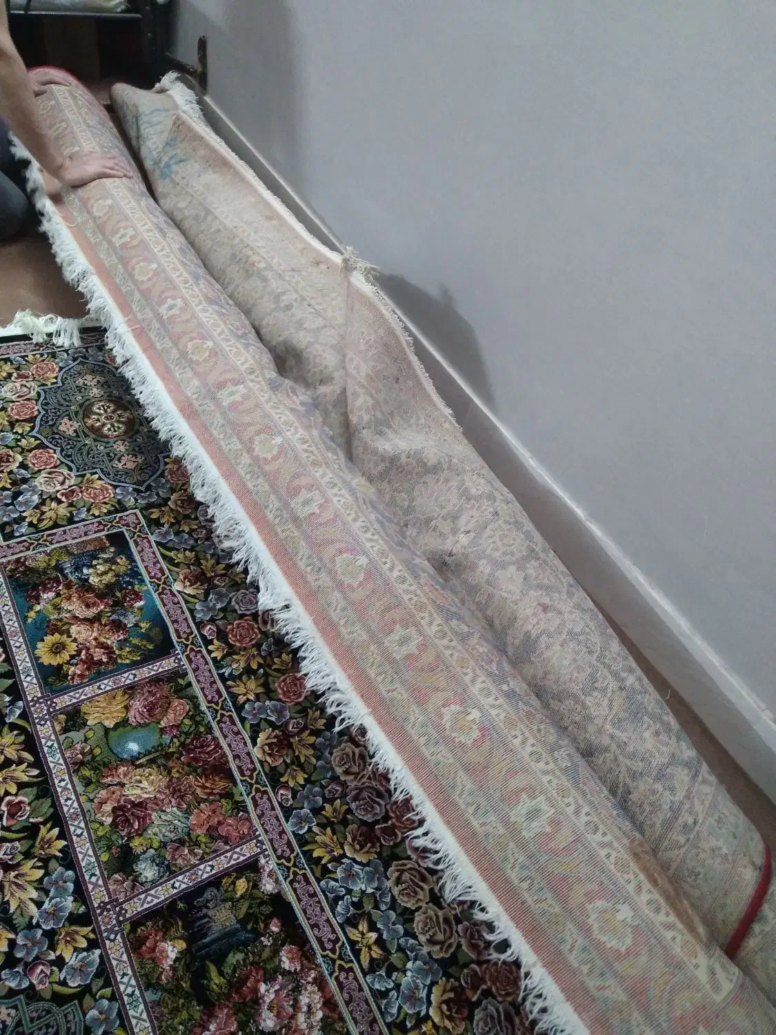 دو تخته فرش سالم|فرش|نیشابور, دارایی|دیوار