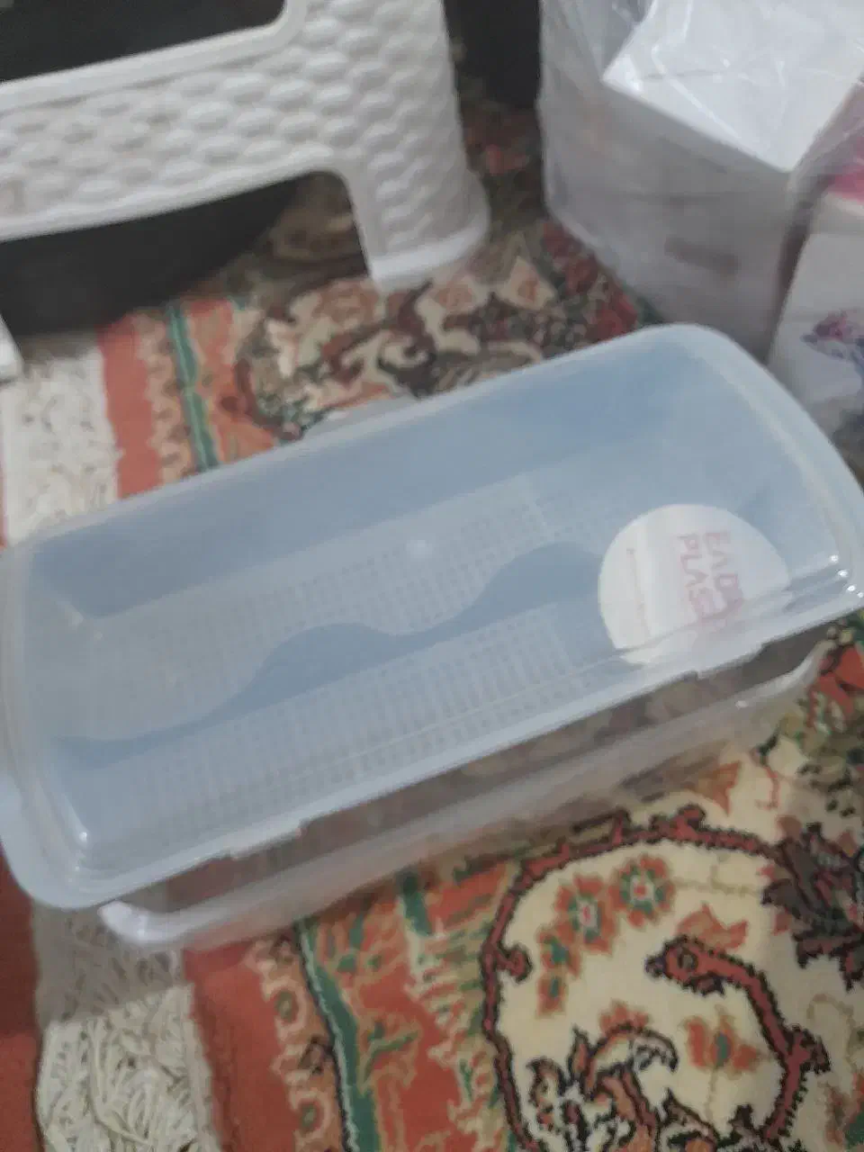 پلاستیکی|ظروف نگهدارنده، پلاستیکی، یک‌بارمصرف|قزوین, |دیوار