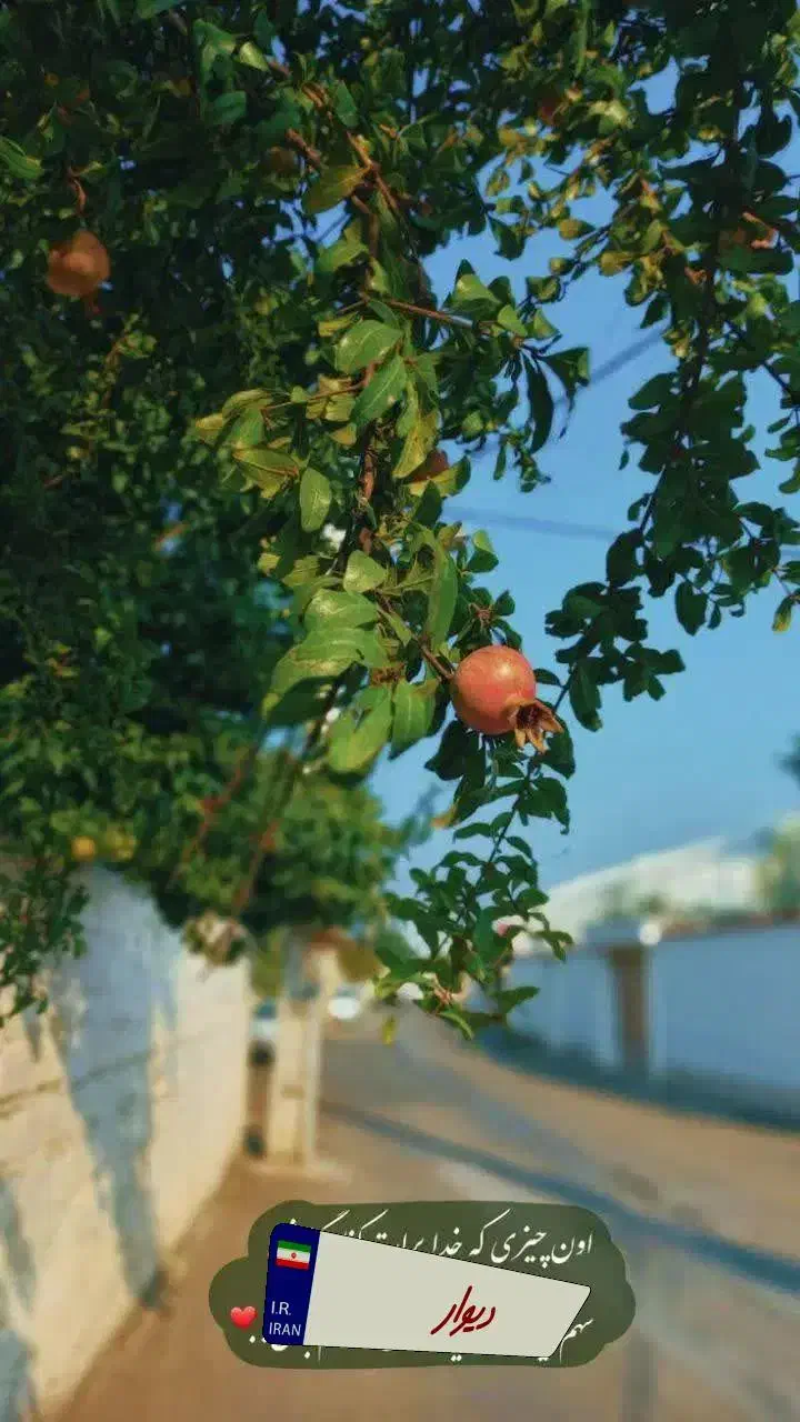 فروش حواله سمند سورن|خودرو سواری و وانت|یاسوج, |دیوار