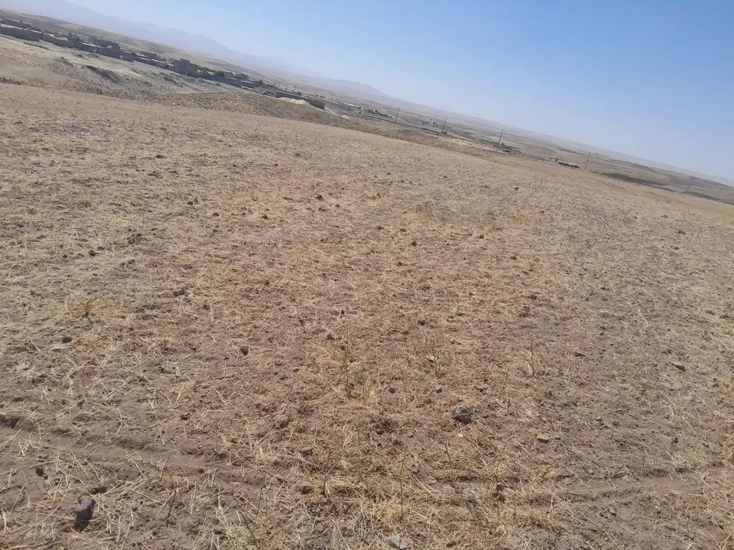 باغ انگورزمین مسکونی وزمین جهت ساخت دامداری مالوجه|فروش زمین و ملک کلنگی|دلبران, |دیوار