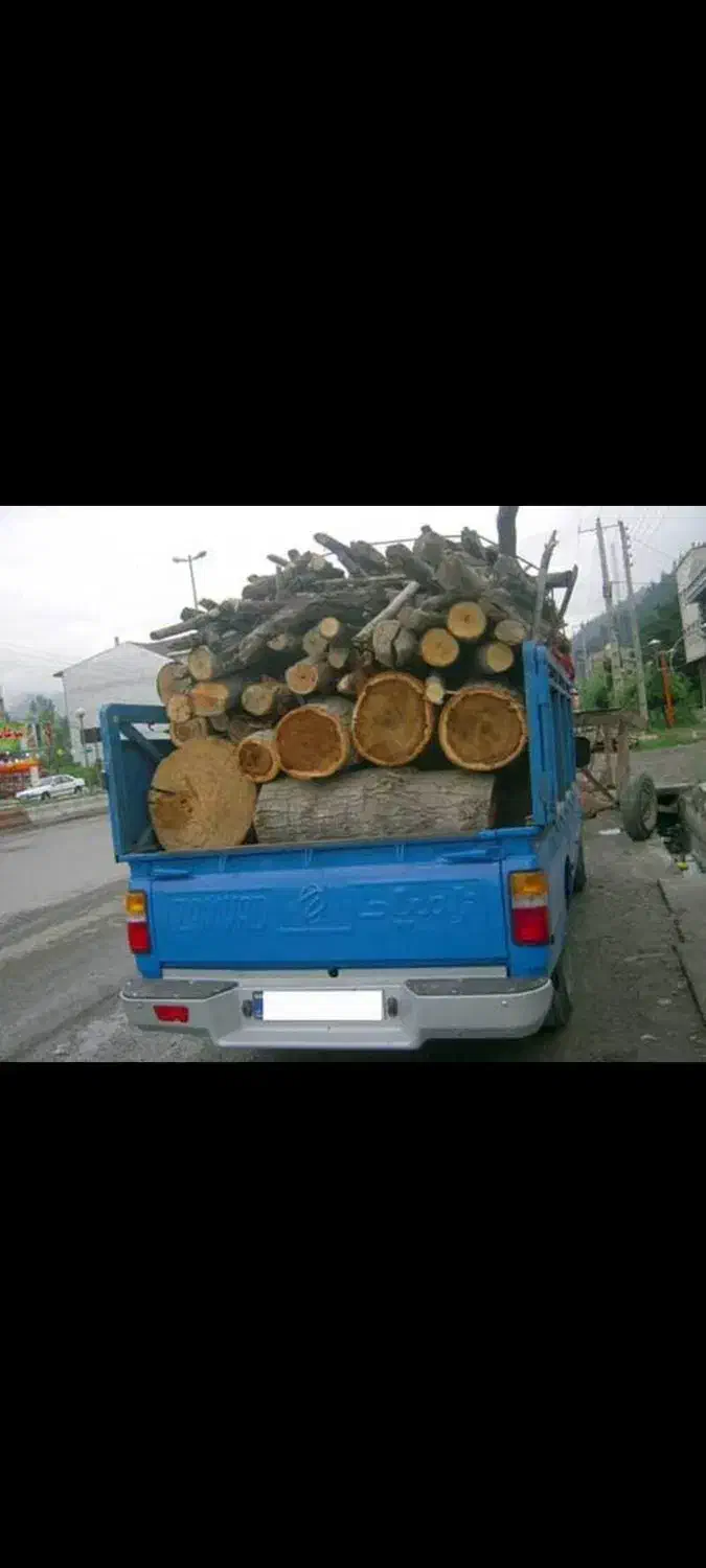 چوب بری و قطع درختان|خدمات باغبانی و درختکاری|اصفهان, شهرک آزمایش|دیوار