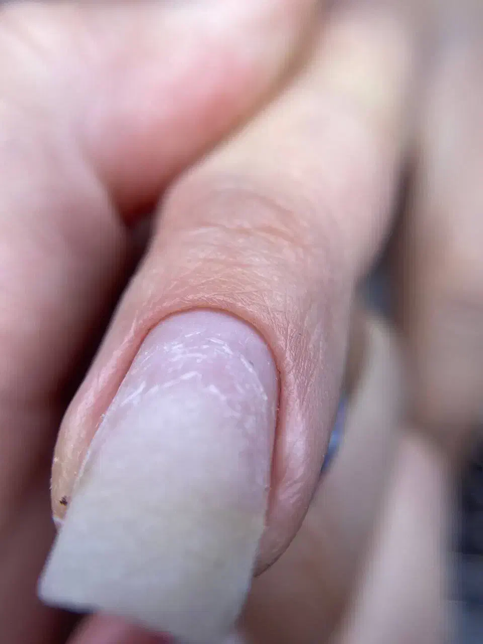 آموزش ناخن|خدمات آموزشی|بندر انزلی, آذربایجان|دیوار