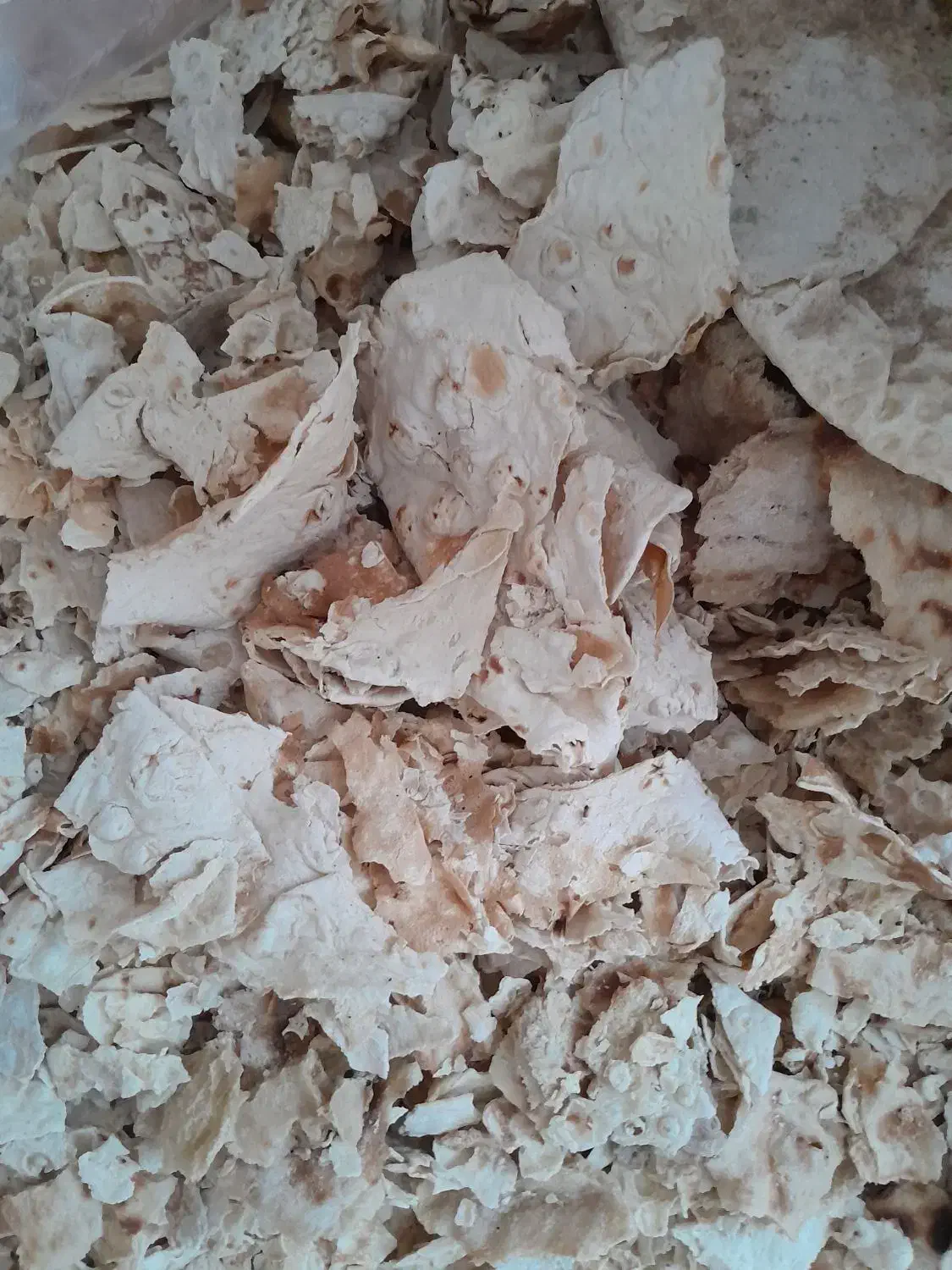 نان خشک|لوازم جانبی حیوانات|کبودرآهنگ, |دیوار