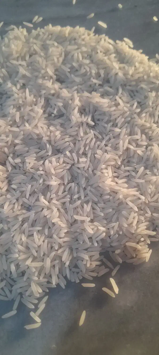 برنج فجر|خوردنی و آشامیدنی|سنگدوین, |دیوار