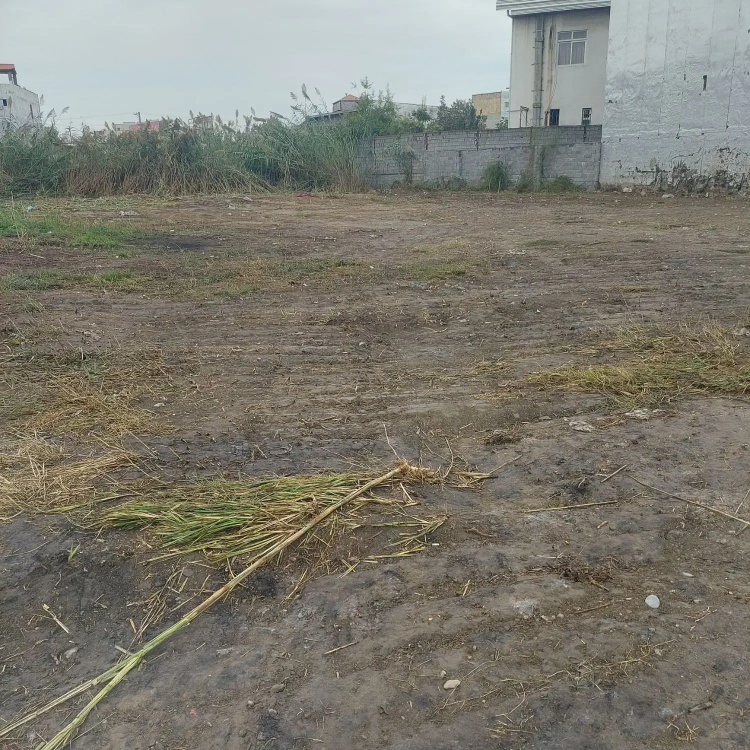 فروش زمین دربابل|فروش زمین و ملک کلنگی|زرگرشهر, |دیوار