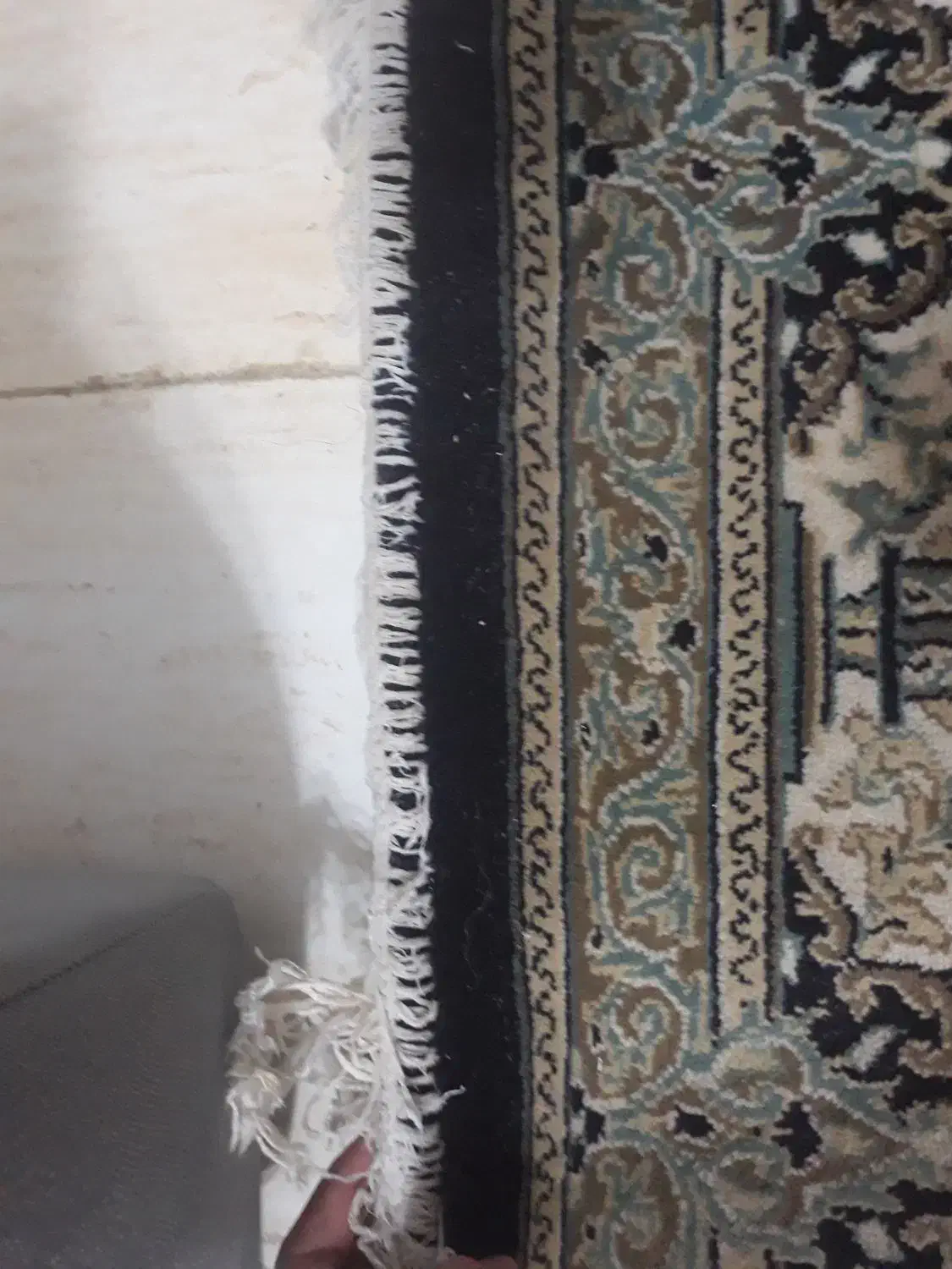 فرش ۱۲ متری|فرش|رشت, کوی مهر|دیوار