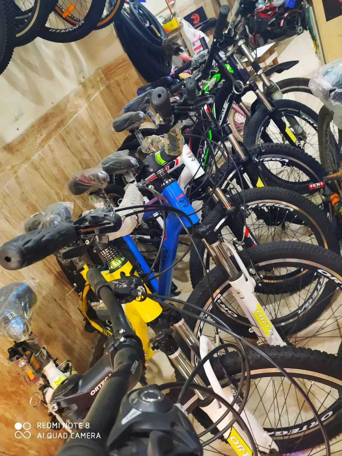 دوچرخه مارکت حرفه ای|دوچرخه، اسکیت، اسکوتر|تالش, هشتپر|دیوار