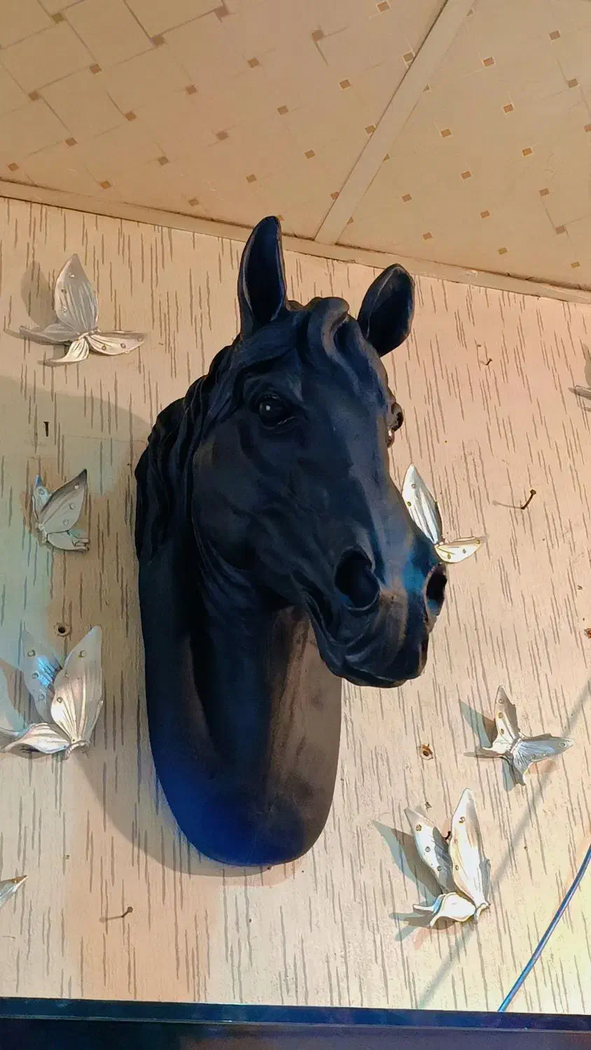 دیوارکوب کله اسب و گوزن|صنایع دستی و سایر لوازم تزئینی|تهران, کوثر|دیوار