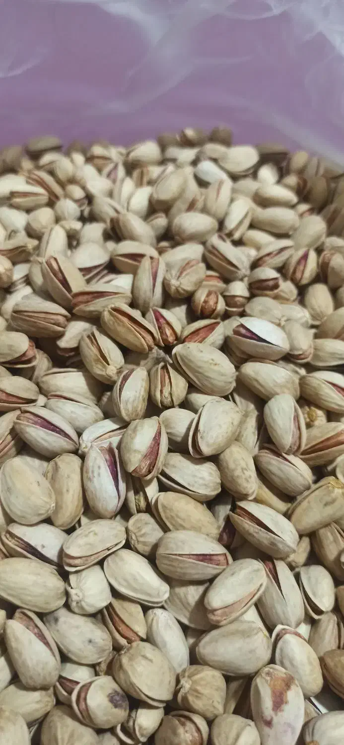 پسته سفید خندان|خوردنی و آشامیدنی|مشهد, هفت تیر (نه دره)|دیوار