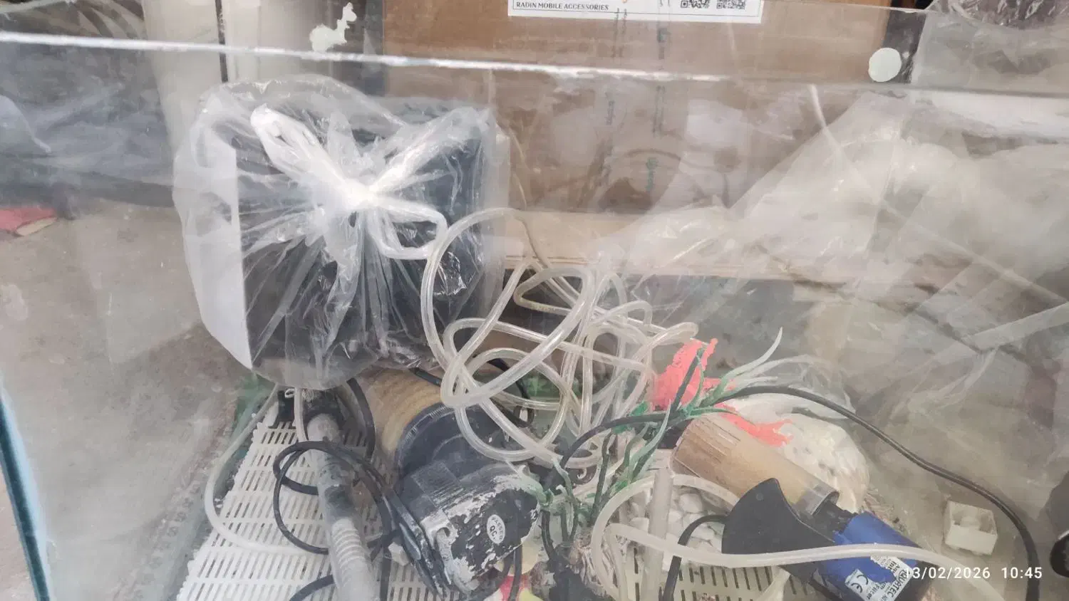 اکواریوم|لوازم جانبی حیوانات|بیرجند, |دیوار