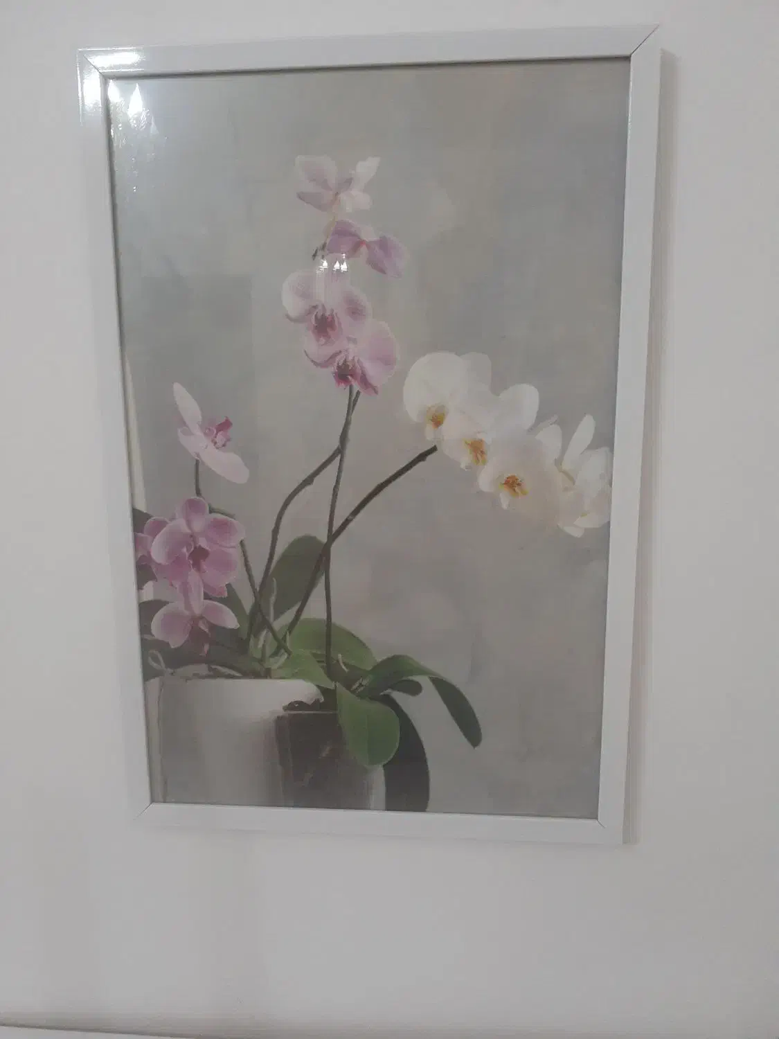 تابلو مدرن ،شکلآت خوری ،و جآشمعی|تابلو، نقاشی، عکس|میانه, |دیوار