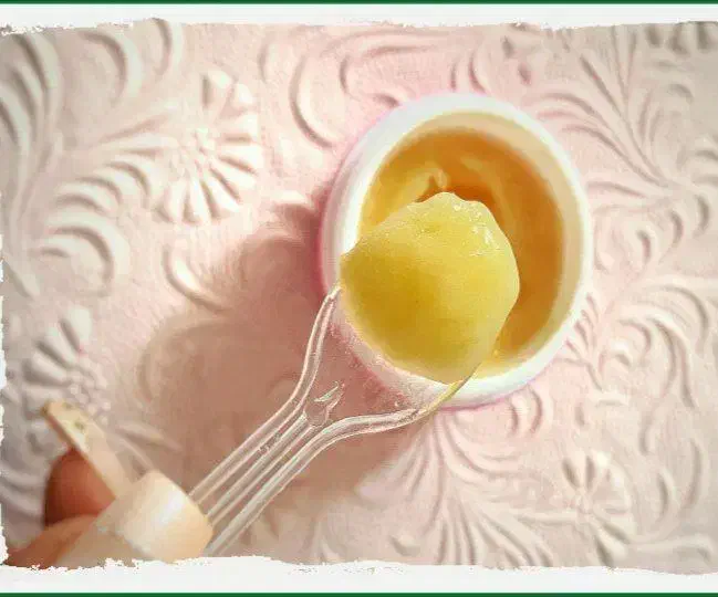ژل رویال داروی معجزه گر تمام بیماریهای بدن|آرایشی، بهداشتی، درمانی|مشهد, یوسفیه (شهرک غرب)|دیوار
