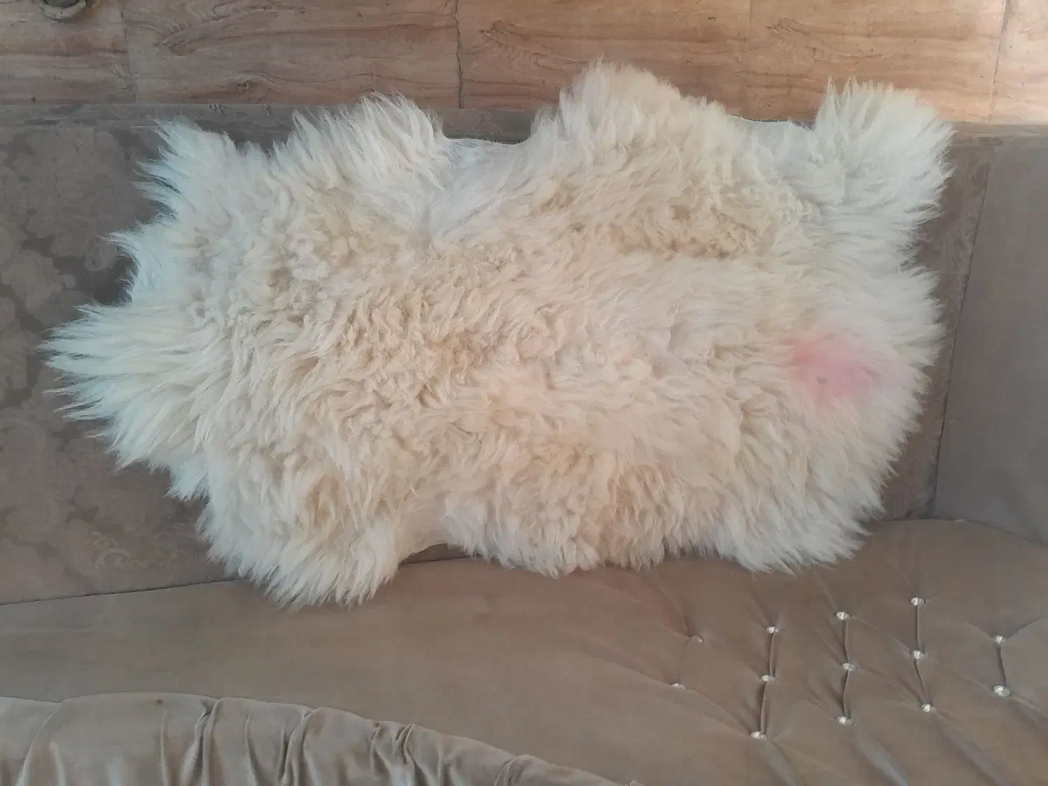 زیر انداز پشمی *تبریز|روفرشی|تهران, جهاد|دیوار