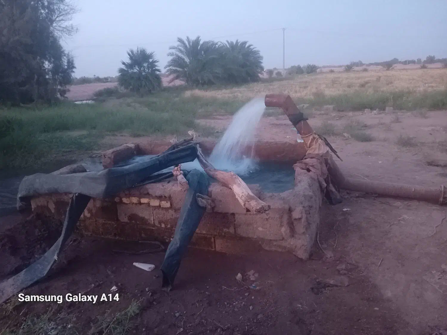 اجاره موتور برقی روبار فوری فوری|خدمات باغبانی و درختکاری|رودبار (کرمان), |دیوار