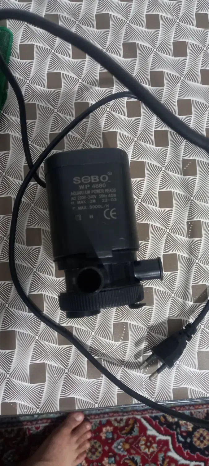 وسایل آکواریوم|ماهی|ارومیه, |دیوار