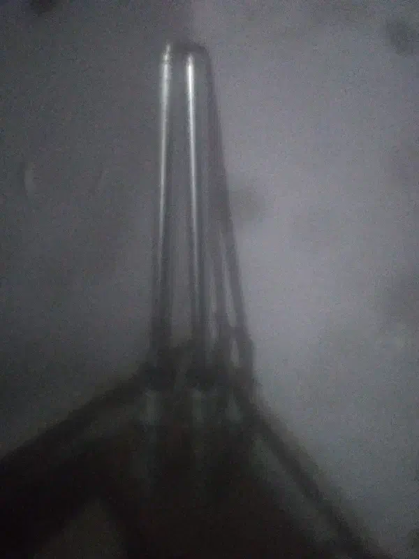 پرنده|پرنده|خرمشهر, |دیوار