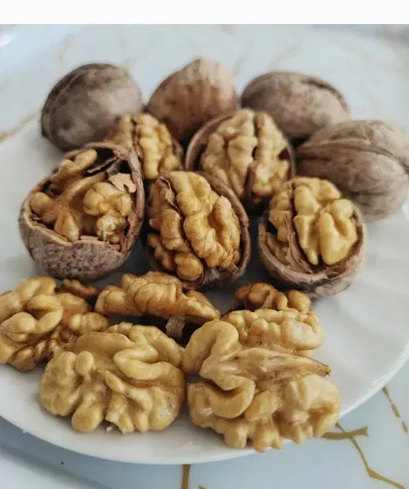 گردو کاغذی درجه 1|خوردنی و آشامیدنی|شاهین دژ, |دیوار