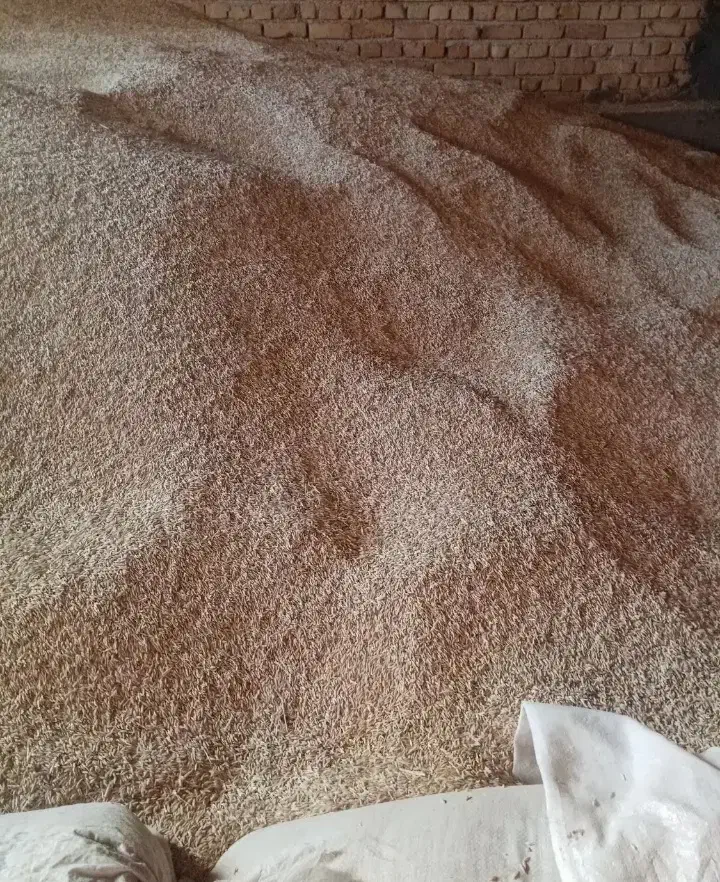 خرید فروش  محصولات کشاورزی|عمده‌فروشی|شیراز, پادگان نیروی هوایی بعثت|دیوار