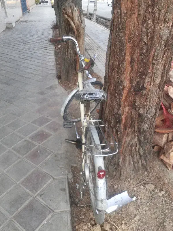 دوچرخه۲۴|دوچرخه، اسکیت، اسکوتر|شاهین‌شهر, نبوت|دیوار