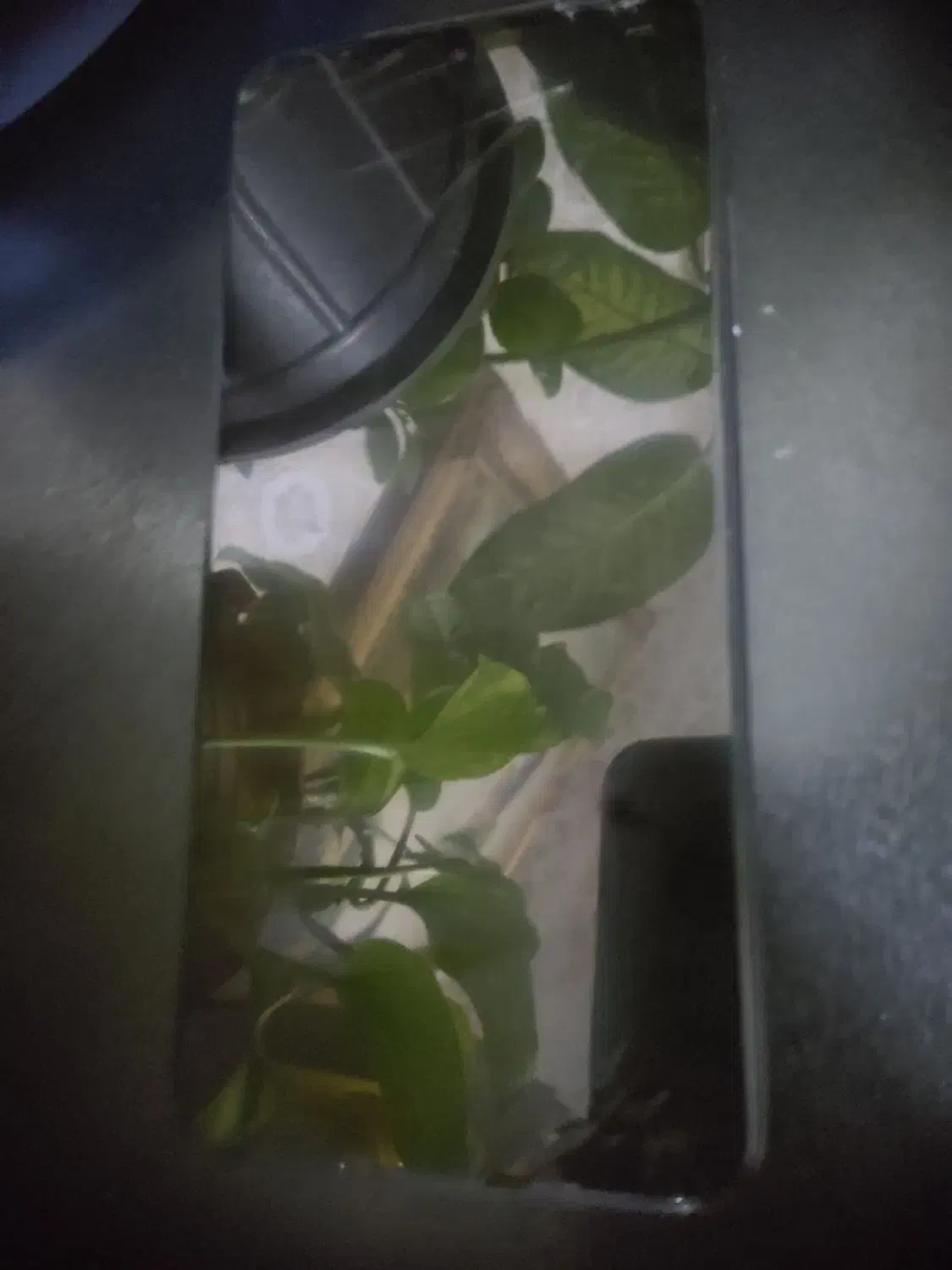 نوت ۱۱ s|موبایل|مشهد, شهرک مهرگان|دیوار