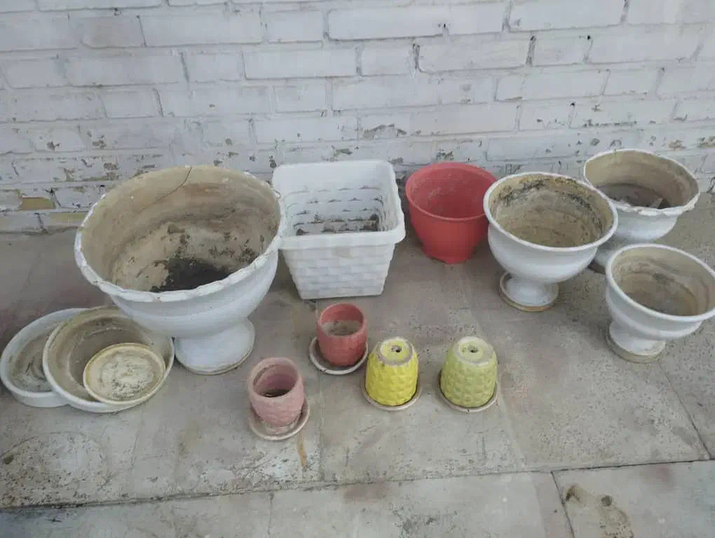 همه گلدان‌ها با هم 300|گل و گیاه طبیعی|اهواز, بهارستان|دیوار