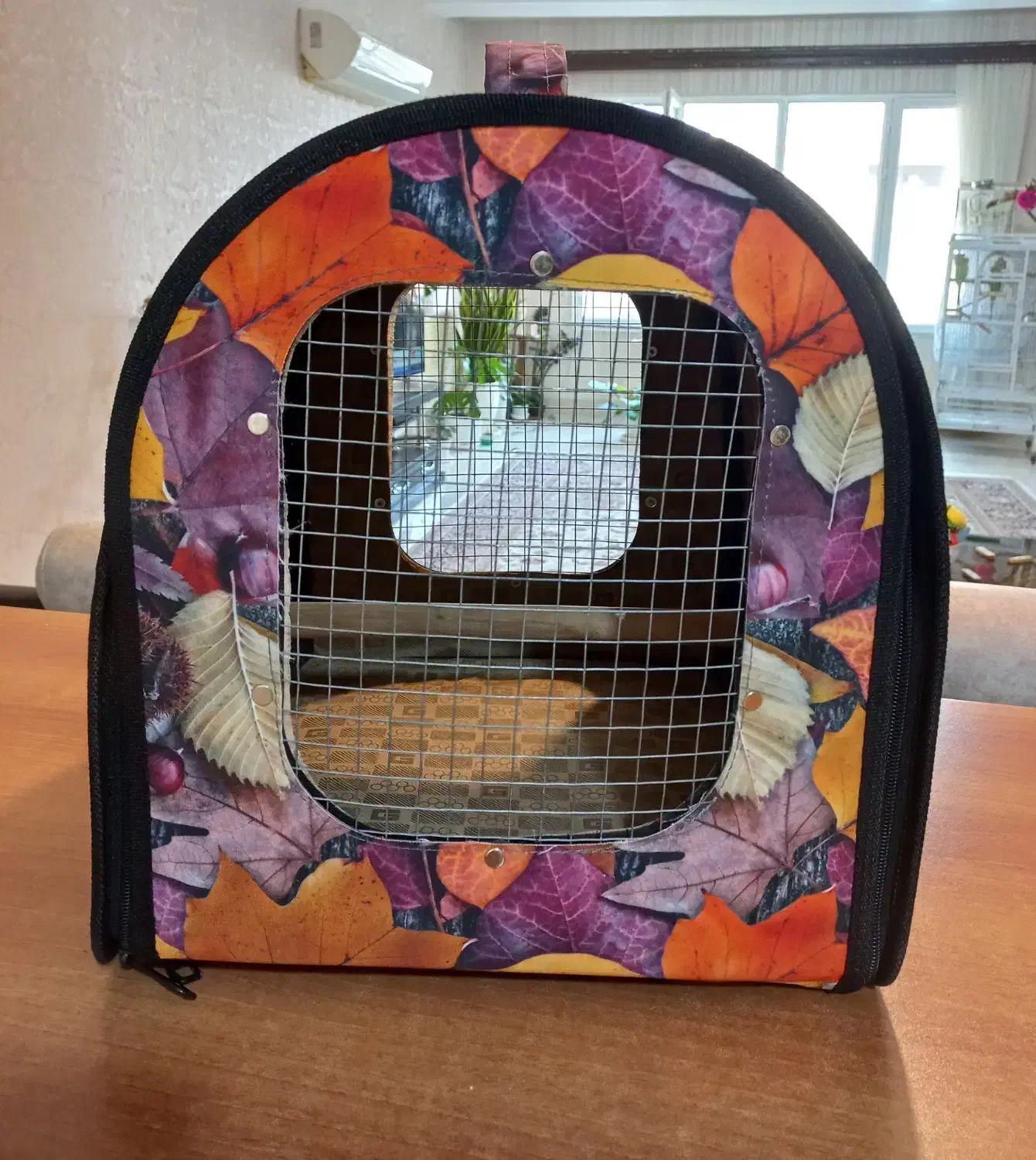 کیف حمل طوطی|لوازم جانبی حیوانات|بابلسر, |دیوار