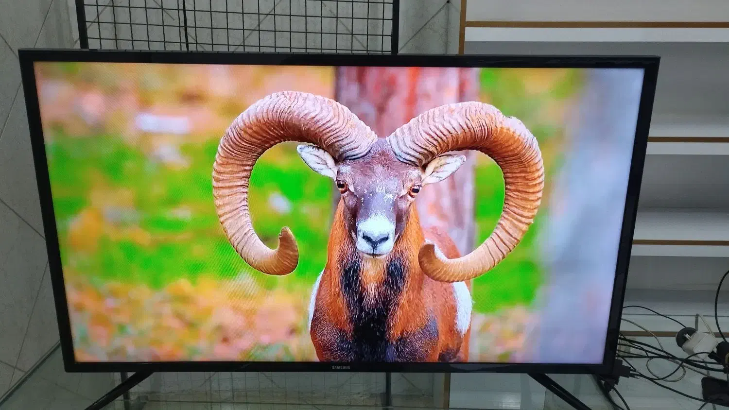 تلویزیون ۴۰ سامسونگ|تلویزیون و پروژکتور|اسلام‌شهر, شهرک احمدیه|دیوار