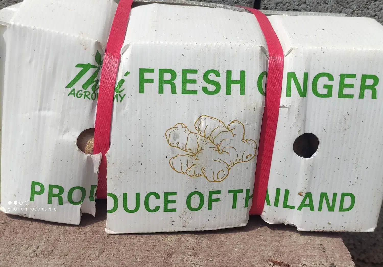 زنجبیل تایلندی|خوردنی و آشامیدنی|اصفهان, نیروگاه|دیوار