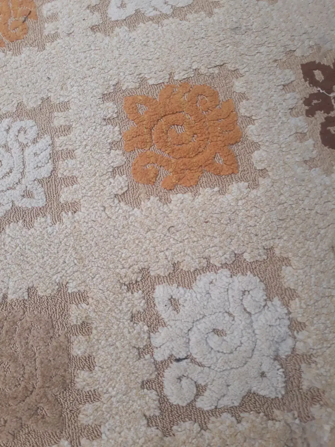 گلیم فرش|گلیم، جاجیم، گبه|قم, وادی السلام|دیوار