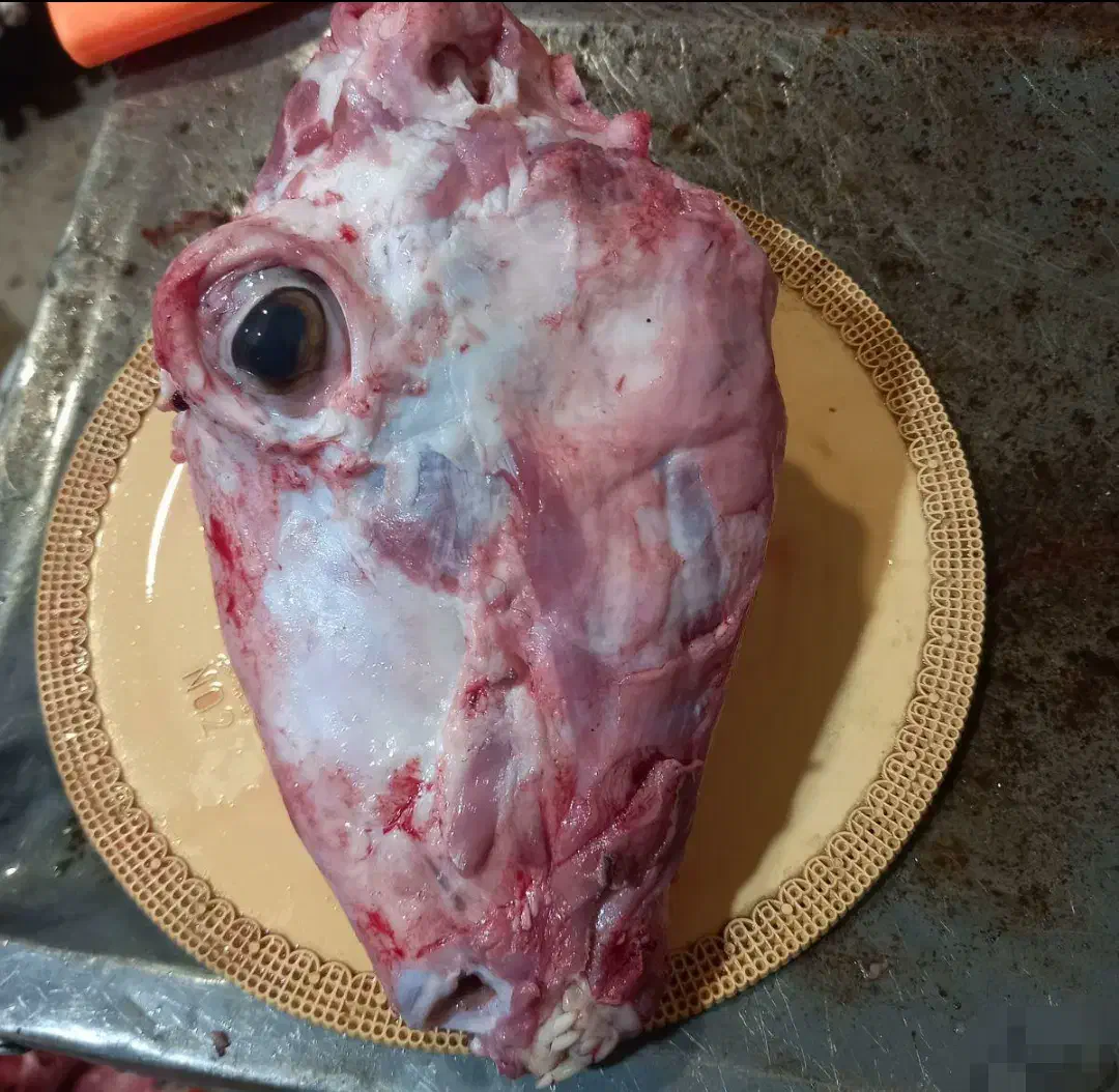 ذبح و قصاب گوسفند و گوساله( قصابی سیار )|خدمات پذیرایی، مراسم|اردبیل, |دیوار