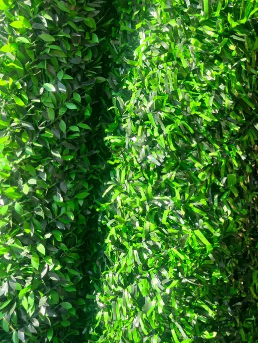 فروش عمده و خرده فنس چمنی|مصالح و تجهیزات ساختمان|ارومیه, |دیوار