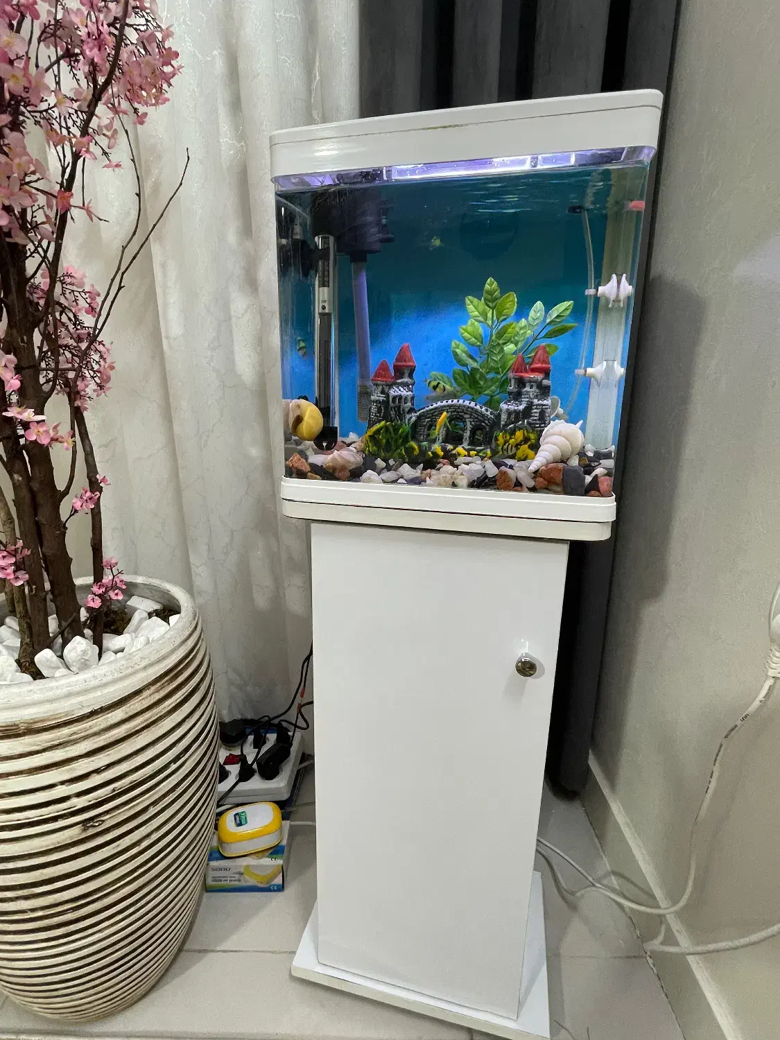 اکواریوم دلسا|ماهی|رباط‌کریم, رباط‌کریم|دیوار