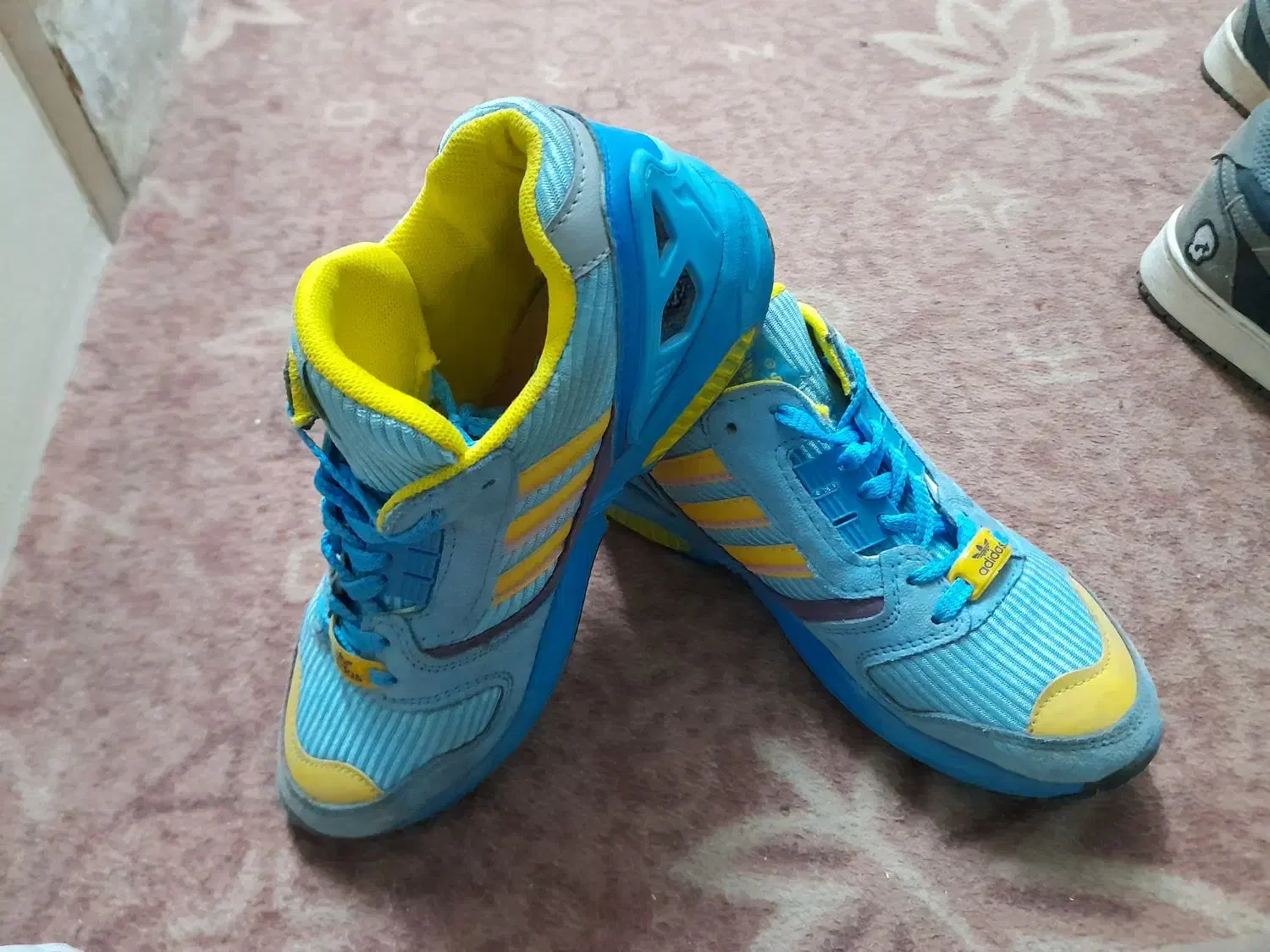 کفش در حد نو|کیف، کفش، کمربند|جهرم, |دیوار