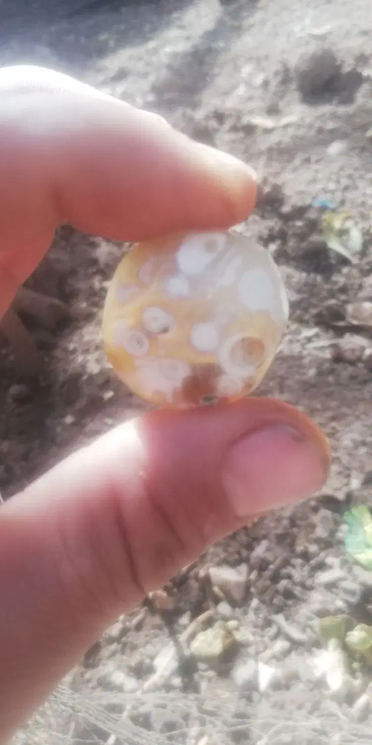 سنگ کهنه قدیمی|کلکسیون اشیاء عتیقه|کرمان, |دیوار