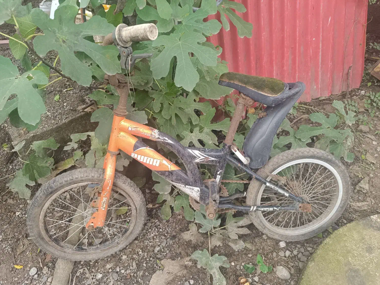 دوچرخه|دوچرخه، اسکیت، اسکوتر|خمام, |دیوار