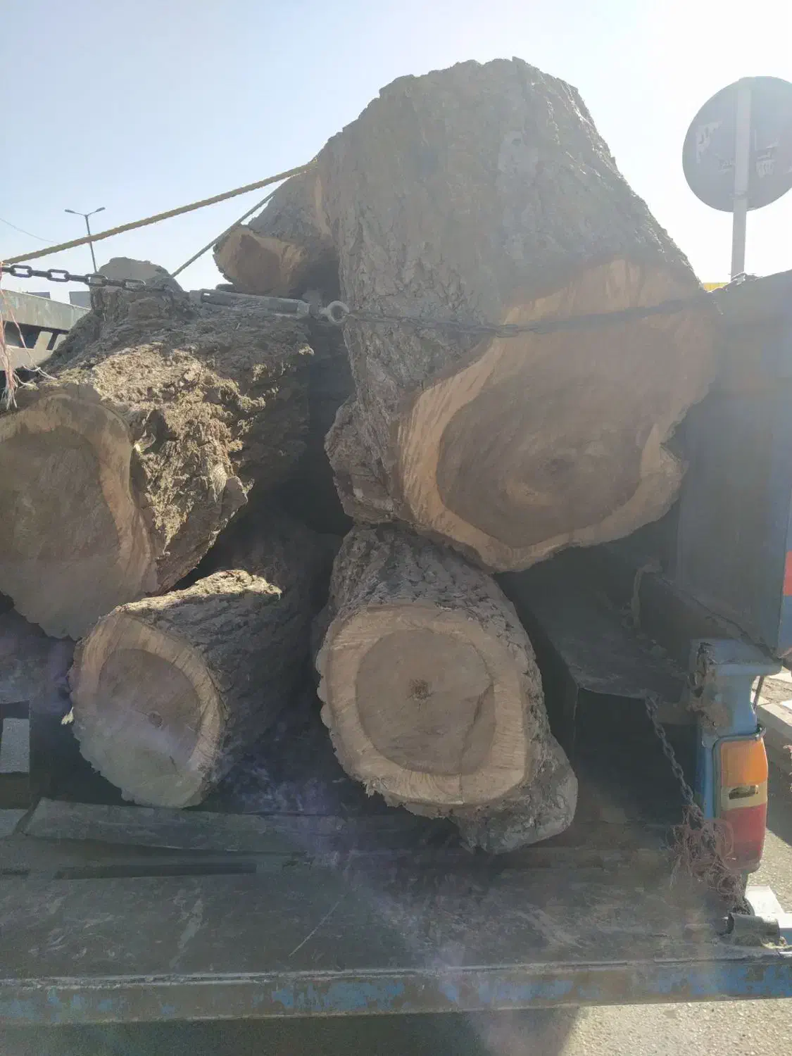 خریدار انواع چوب باغی|خدمات باغبانی و درختکاری|ملایر, |دیوار