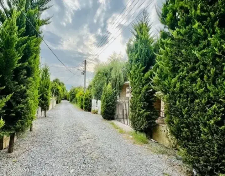 زمین جنگلی با ۲۰۰ پیش پرداخت سند دار|فروش زمین و ملک کلنگی|چمستان, |دیوار