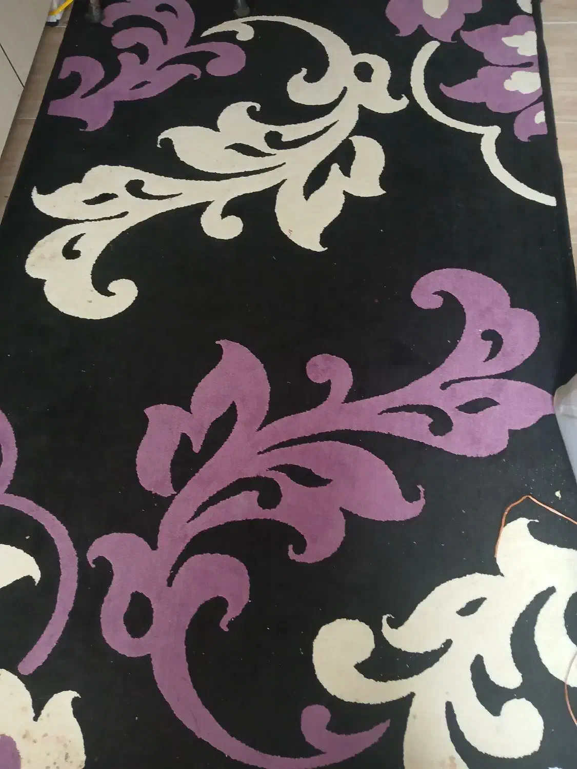 فرش 4متری|فرش|نشتارود, |دیوار