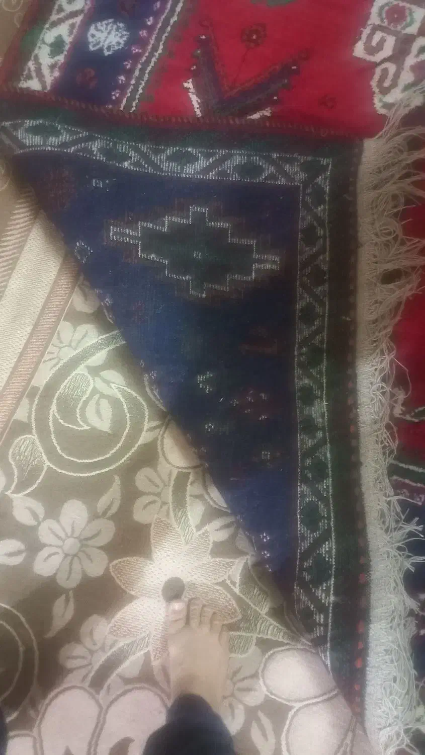 فرش دستبافت|فرش|فسا, |دیوار