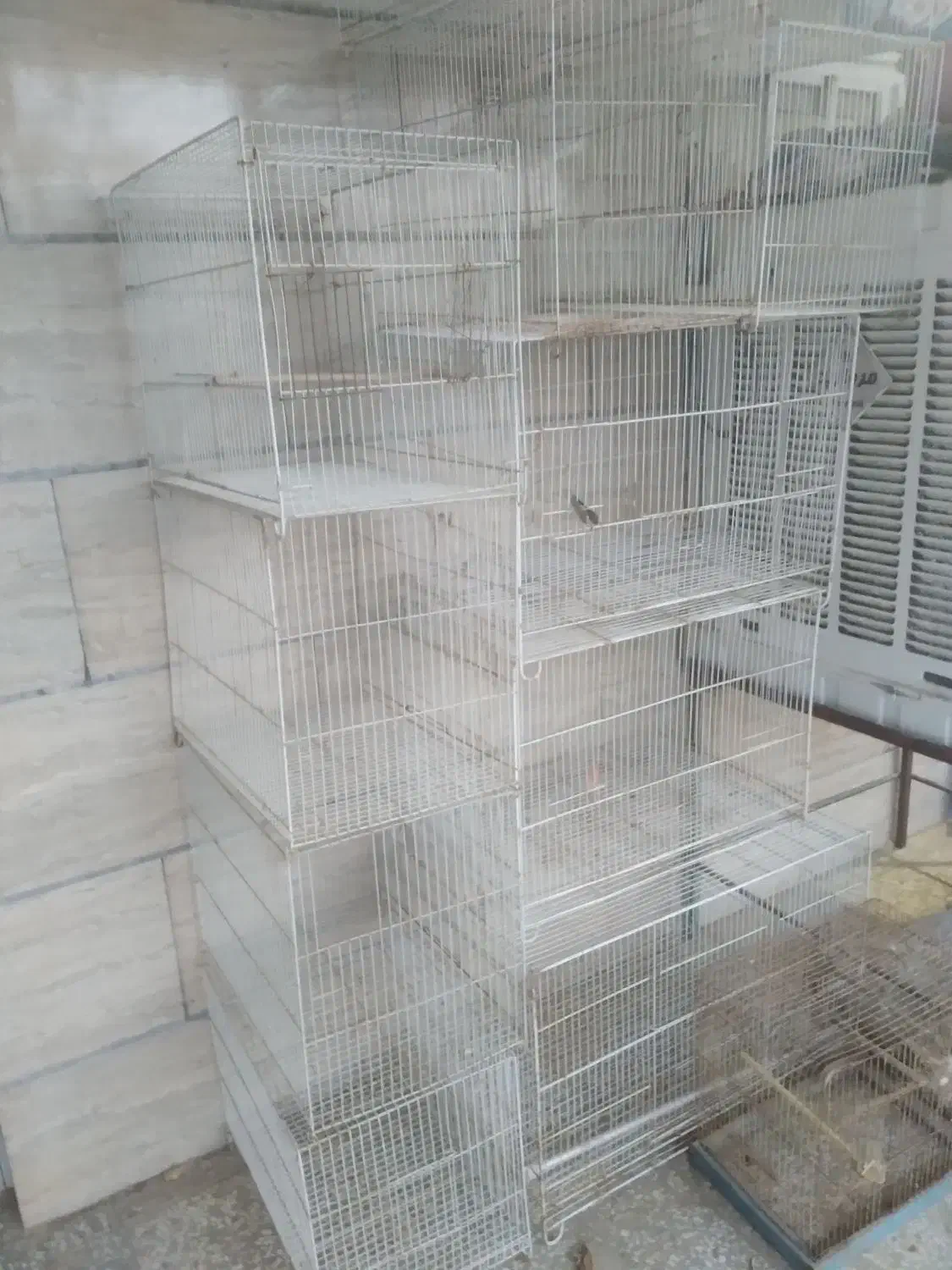 قفس،قفس پرنده عروس هلندی|لوازم جانبی حیوانات|مشهد, میان ولایت|دیوار