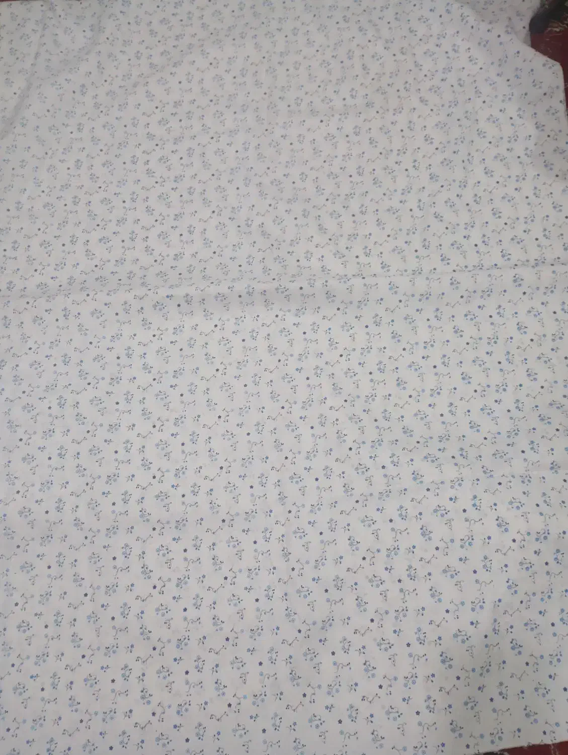 چادر نماز|لباس|مشهد, فاطمیه|دیوار