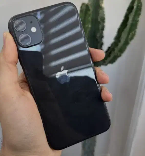 iphone11|موبایل|الیگودرز, |دیوار